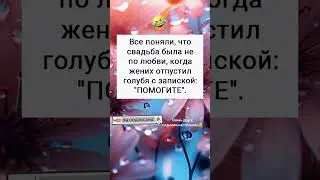 Записка с голубем😂#топюмор #юмор #смешнодослез #мем #смех #прикол #приколы #анекдоты