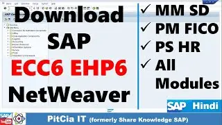 SAP Full Package ERP, GUI, Database, Server OS Installation | 