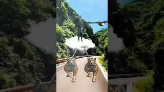 я люблю попы негров