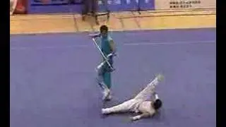 WUSHU demontration Martial Arts