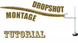 Das Dropshot Rig - wie baut man das Dropshot Rig. Perfekt für Barsch & Zander!