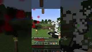 Ez kill on this Minecraft SMP 