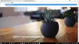 Сброс пароля в админку WordPress