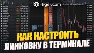 Как настроить линковку элементов в терминале Tiger.com