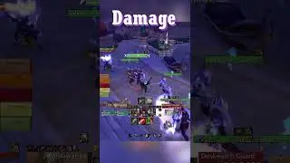 Dragonflight - FOCUS INTERRUPT MACRO