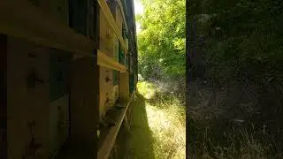 ЖУЖЖАТ ПОДРУГИ📢