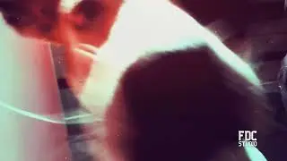 Pearl Electro Dance