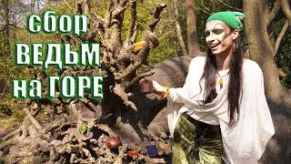 Beltane, Walpurgis Night, Pagan Wheel of the Year, Holidays