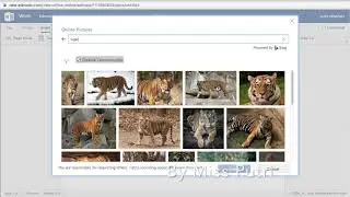 How to formatting text and inserting picture in word online