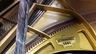 Pianoforte Schimmel - Jolly Music