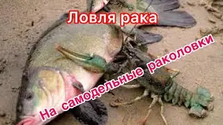 ЛОВЛЯ РАКА НА САМОДЕЛЬНЫЕ РАКОЛОВКИ/САМОДЕЛЬНЫЕ РАКОЛОВКИ ИЗ БУТЫЛОК/#рыбалка2022#ловлярака