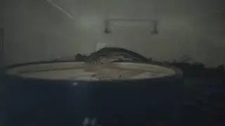 Как змея пьет воду?