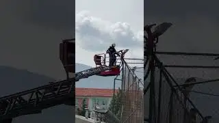 Başarısız Kedi Kurtarma Operasyonu