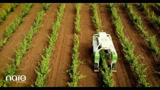 #Ted - 2021 - Second version of our vineyards robot - Mas Belles Eaux