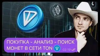 ИНСТРУКЦИЯ ПО ТОРГОВЛИ МЕМ МОНЕТ В СЕТИ TON