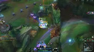 Skarner gassin