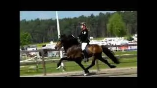 Kronshof-Special 2013 - F1-Mix (Prelim.) - isibless