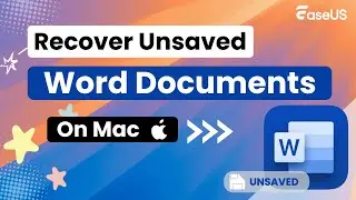 Recover Unsaved Word Document Mac with 4 Tested Plans