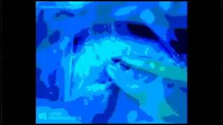 SINISTER SIGNAL   the mind is god
