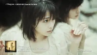 ◆Aimer◆I beg you(teaser ver.)