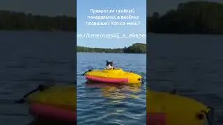 Кто со мной? Помощь к ОГЭ и ЕГЭ в моем ТГ-канале https://t.me/russkij_s_ekspertom