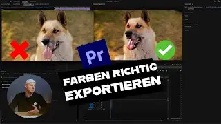 EXPORT SETTINGS PREMIERE PRO 🎨 | EXPORT COLORS CORRECTLY | Fitchgallery