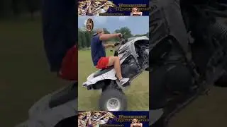 Подборка приколов 😂