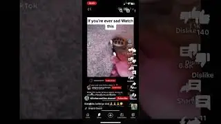Make this cute turtle famous