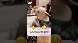 Этот вопрос бесит всех... 