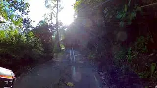 Gallinazo 3