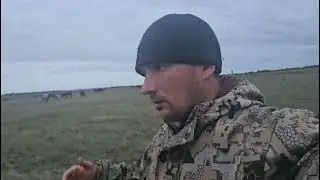 Как прошла первая ночь табуна в электро пастухе.