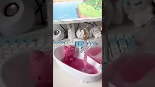 Hello Kitty Ice ASMR! 