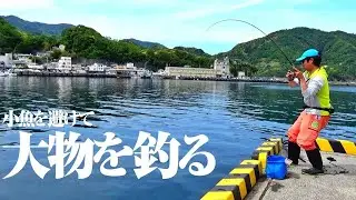 堤防際の大物狙いに最適な釣り方があると聞いて挑戦してみた結果…ルアータックルでも再現可能なお手軽釣りに行き着いた件。