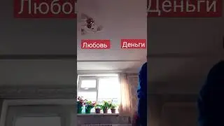 Любовь