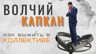 Что делать если коллеги не дают спокойно работать и вы из-за страха безденежья продолжаете работать