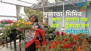 সুজাতা দিদির ছাদ বাগান যেন এক টুকরো স্বর্গ/ছাদ বাগান পরিদর্শন/@Banchharamerbagan