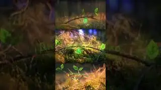 С Днём работников леса!