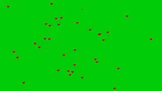 Heart rain HD no copyright green screen effect for editing
