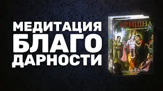 Благодарю