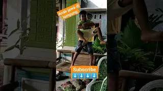 anak jawa dilampung #lucu #pernikahanlampung #anak #pernikahanjawa #funny #pernikahanadatjawa
