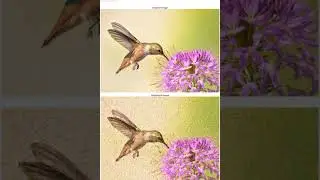 Creating oil-paintings from images with python