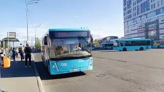 Автобус, маршрут №57 (от Купчино по ул. Я. Гашека) МАЗ-206.947 б.38343 (29.05.2023) Санкт-Петербург