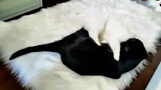 Доброе утро! А вы делаете зарядку с утра?