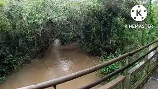 cataratas de Iguazu misiones argentina segundo viaje extendido