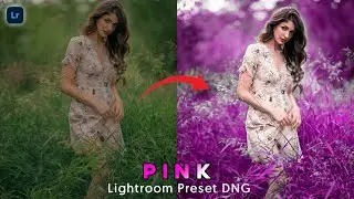 Lightroom preset pink , Pink tone lightroom preset dng, Free lightroom preset dng download