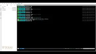 Basic UNIX file system commands