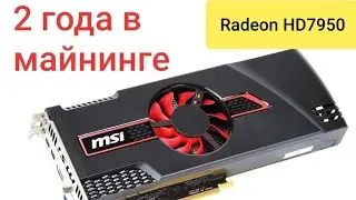4 года в гейминге и 2 в майнинге, Radeon HD7950 - что с ней стало?