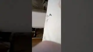 19 января 2089 г |