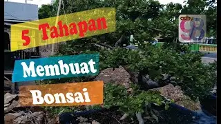 Program dasar cara membuat bonsai