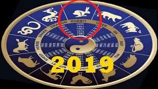 ГОРОСКОП НА 2019 ГОД ДЛЯ КОТА (КРОЛИКА)